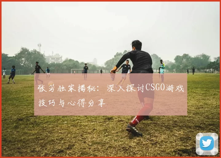 张芳独家揭秘：深入探讨CSGO游戏技巧与心得分享