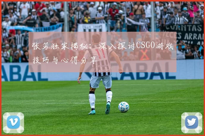 张芳独家揭秘：深入探讨CSGO游戏技巧与心得分享