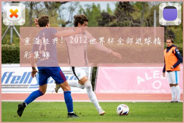 重温经典！2012世界杯全部进球精彩集锦