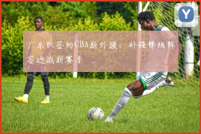 广东队签约CBA新外援,补强锋线阵容迎战新赛季