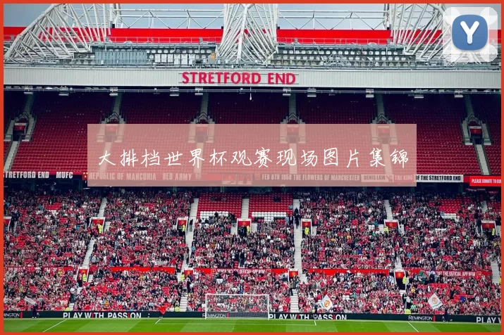 大排档世界杯观赛现场图片集锦