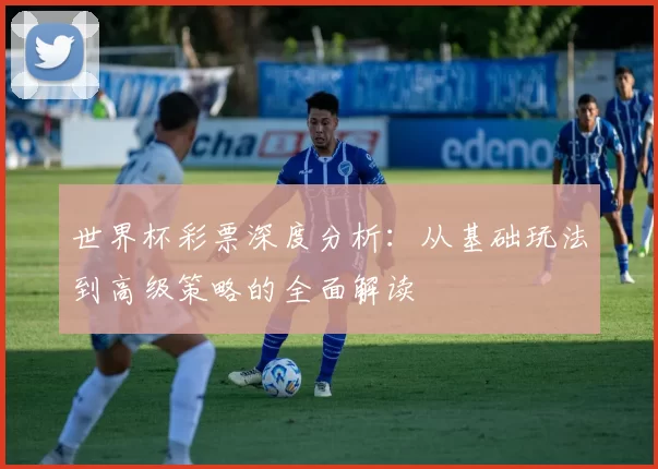 世界杯彩票深度分析:从基础玩法到高级策略的全面解读