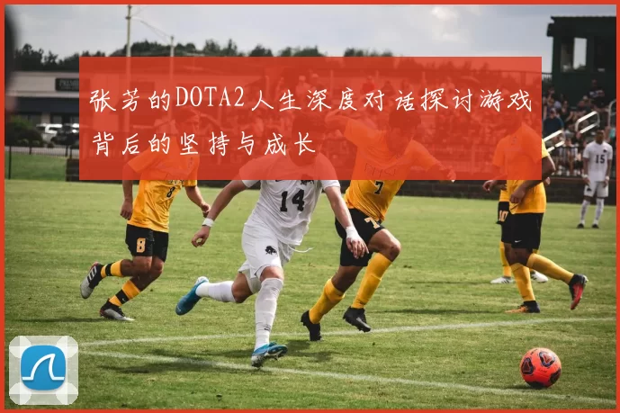 张芳的DOTA2人生深度对话探讨游戏背后的坚持与成长