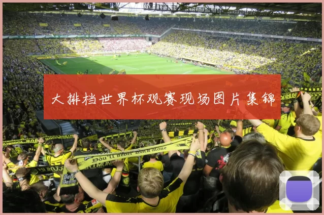 大排档世界杯观赛现场图片集锦