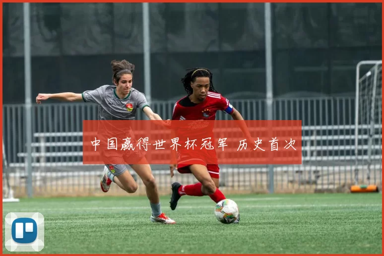 中国赢得世界杯冠军 历史首次