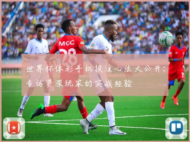 世界杯体彩手机投注心法大公开：专访资深玩家的实战经验
